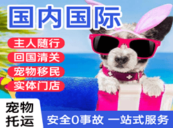 衡阳南岳机场空运国际宠物托运 【国